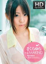 大香蕉国产成人,揭秘国内成人影视产业的崛起与挑战